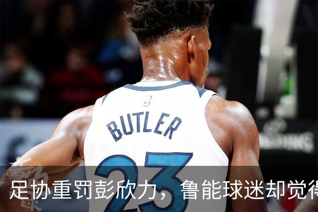 足协重罚彭欣力，鲁能球迷却觉得太便宜他了！